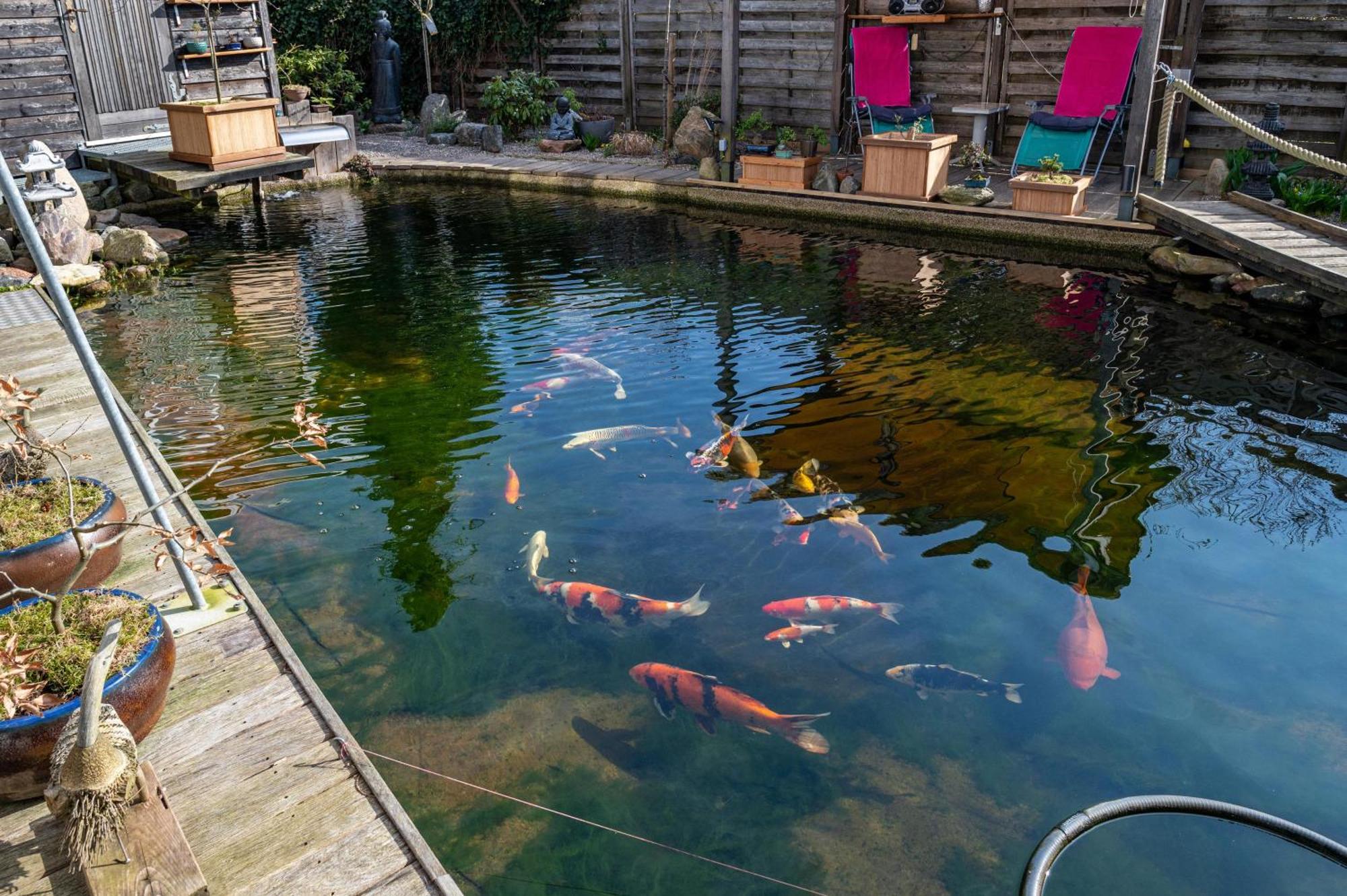 דירות בוצו Am Teich מראה חיצוני תמונה